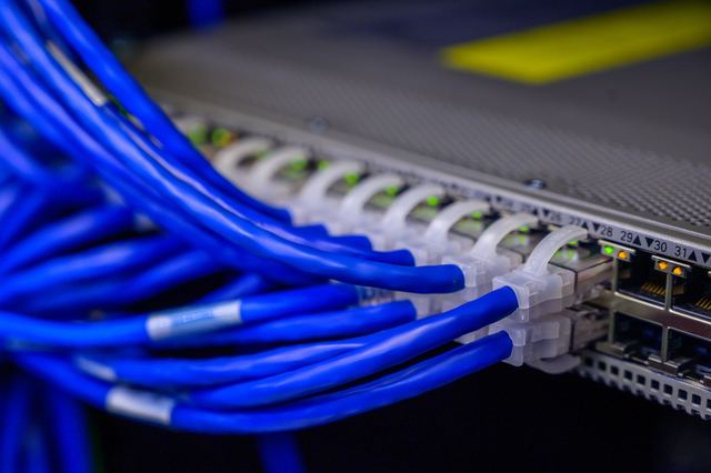 Blue network cables plugged into the numbered ports of a network switch, with green status lights.